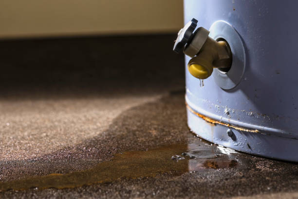  Williams, CA Water damage restoration Pros
