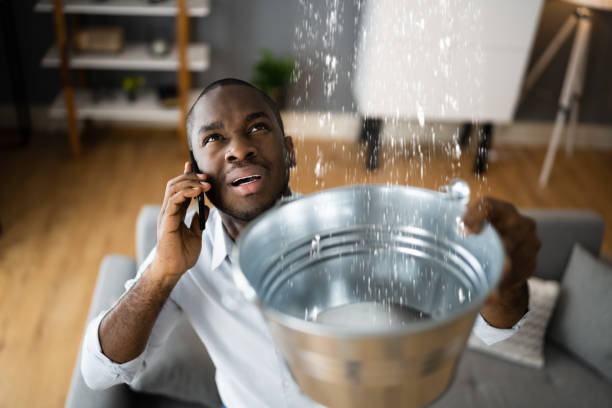 Best Water damage cleanup near me  in Williams, CA