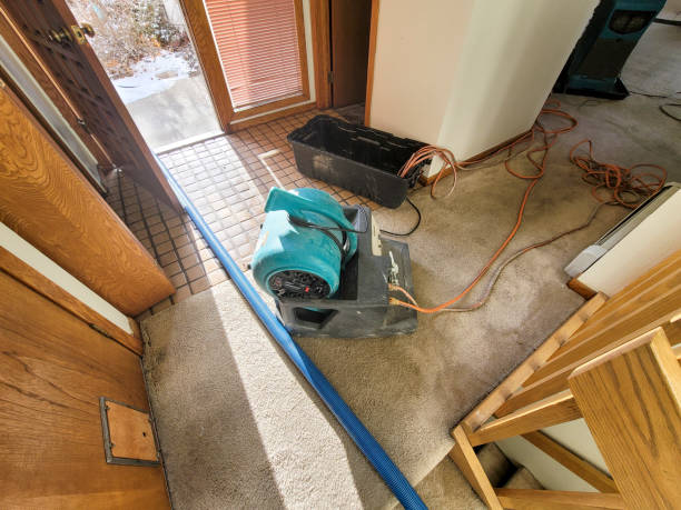 Best Flood restoration services  in Williams, CA