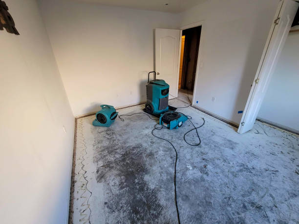 Best Commercial water damage restoration  in Williams, CA