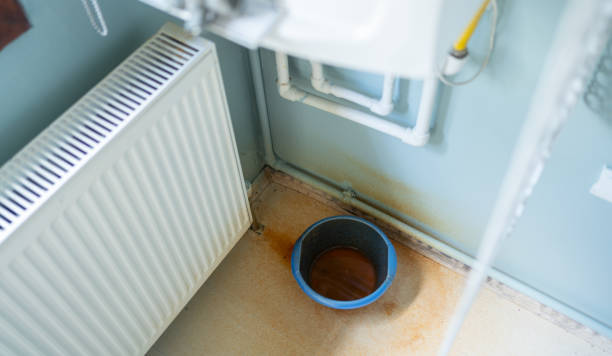 Trusted Williams, CA Water damage restoration Experts