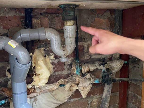 Best Professional water damage repair  in Williams, CA