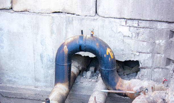 Best Flooded house restoration  in Williams, CA